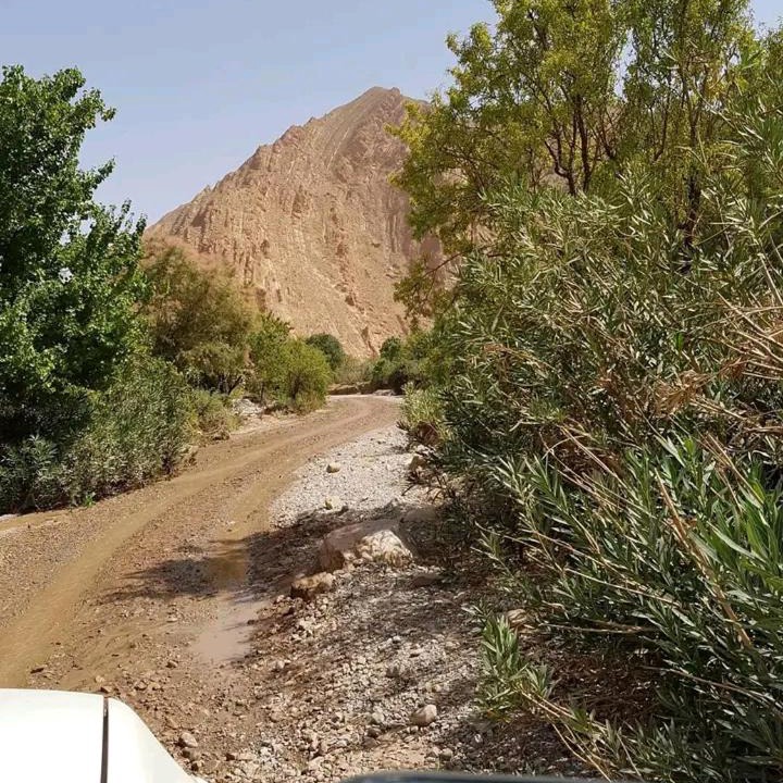 Photo of Outdoor in Telouet