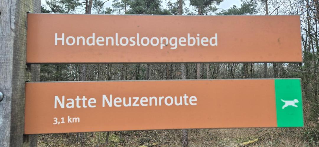 Photo of Others in Bosgebied Hoenderloo