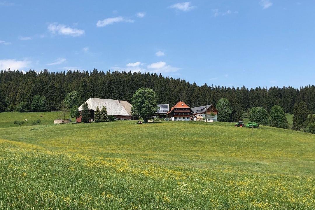 Photo of Others in Schollach