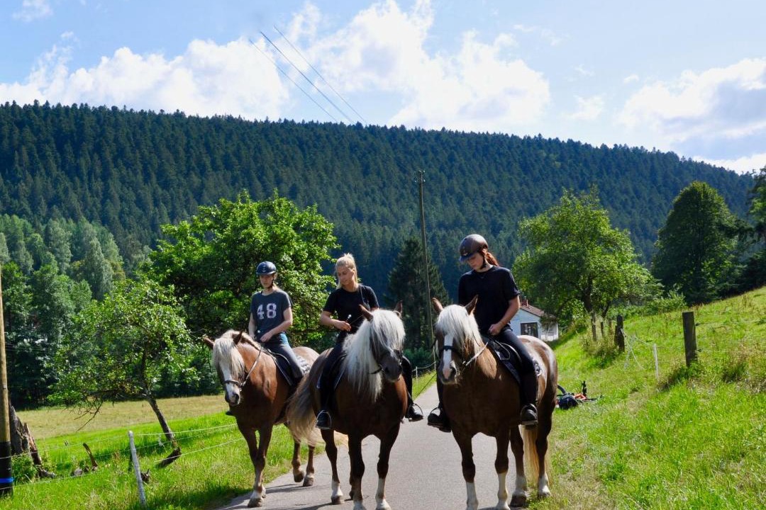 Photo of Others in Ehlenbogen