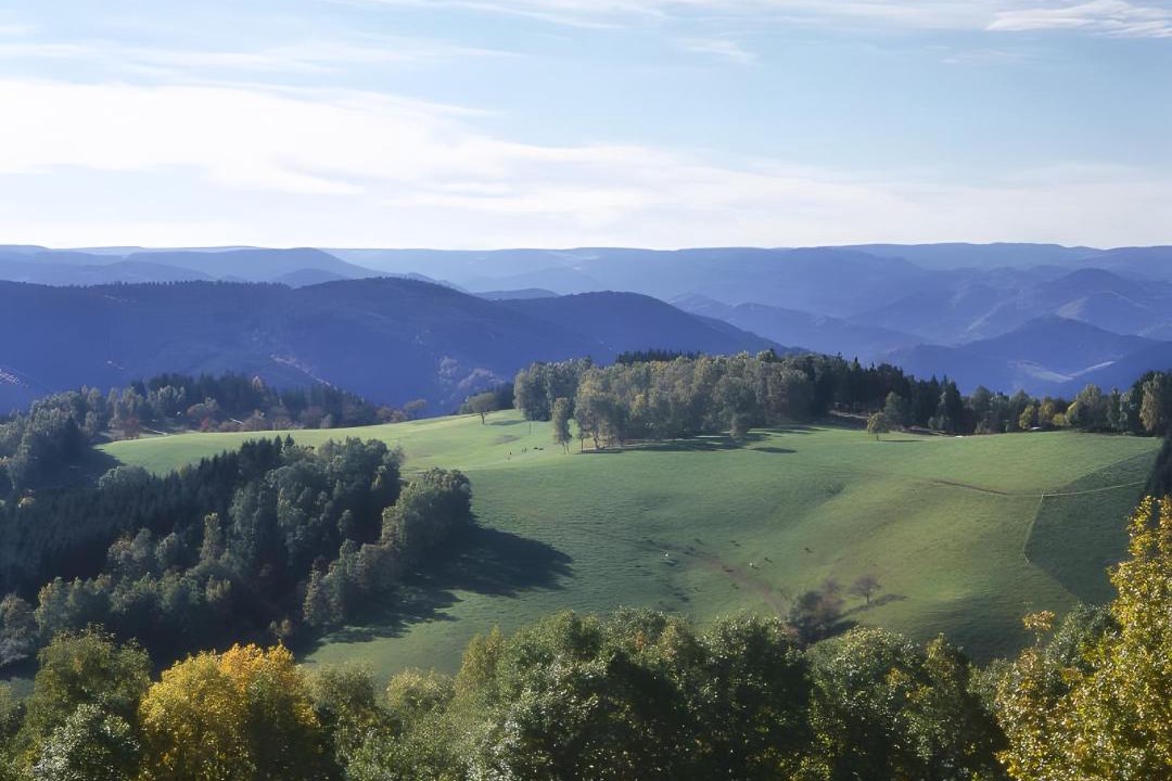 Photo of Others in Oberwolfach