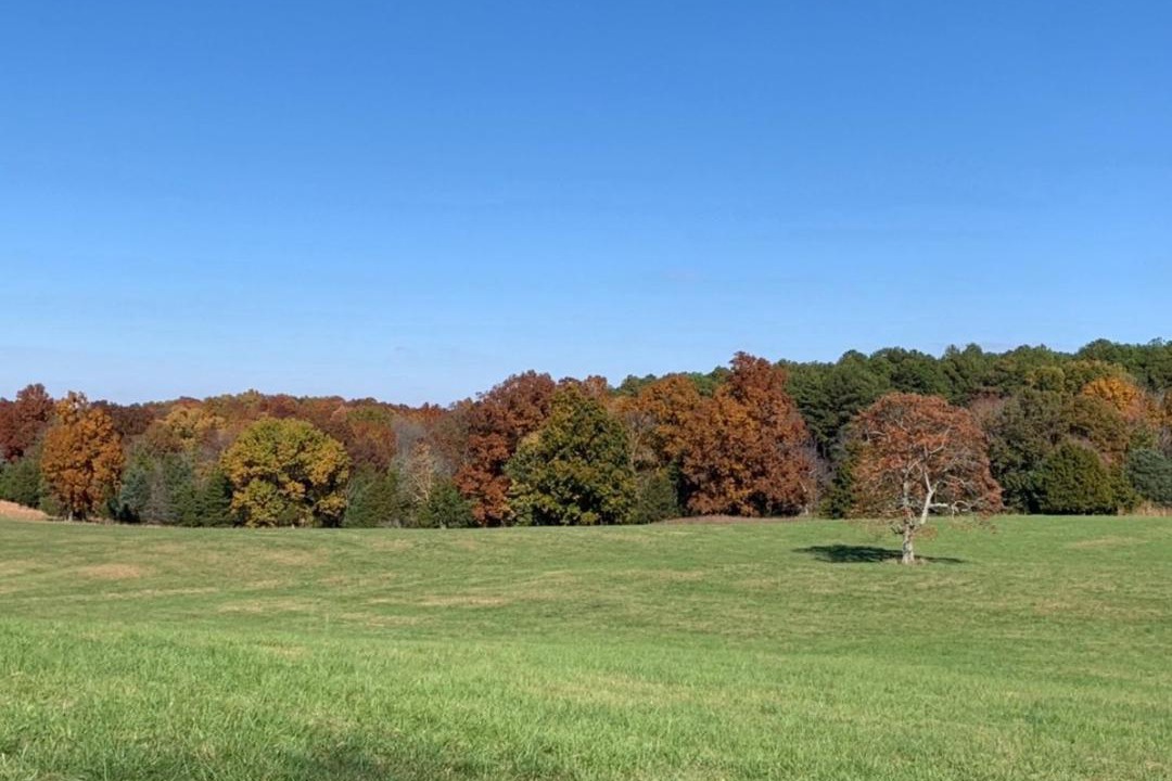 Photo of Others in Pope County