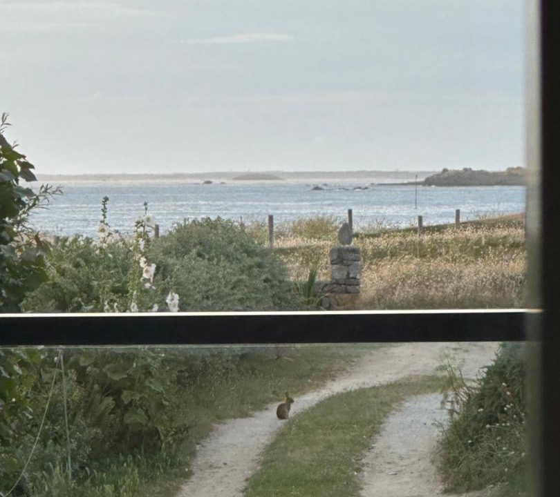 Photo of Others in Saint-Pierre-Quiberon