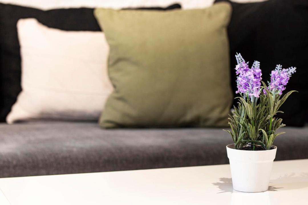 Photo of Livingroom in Sagno
