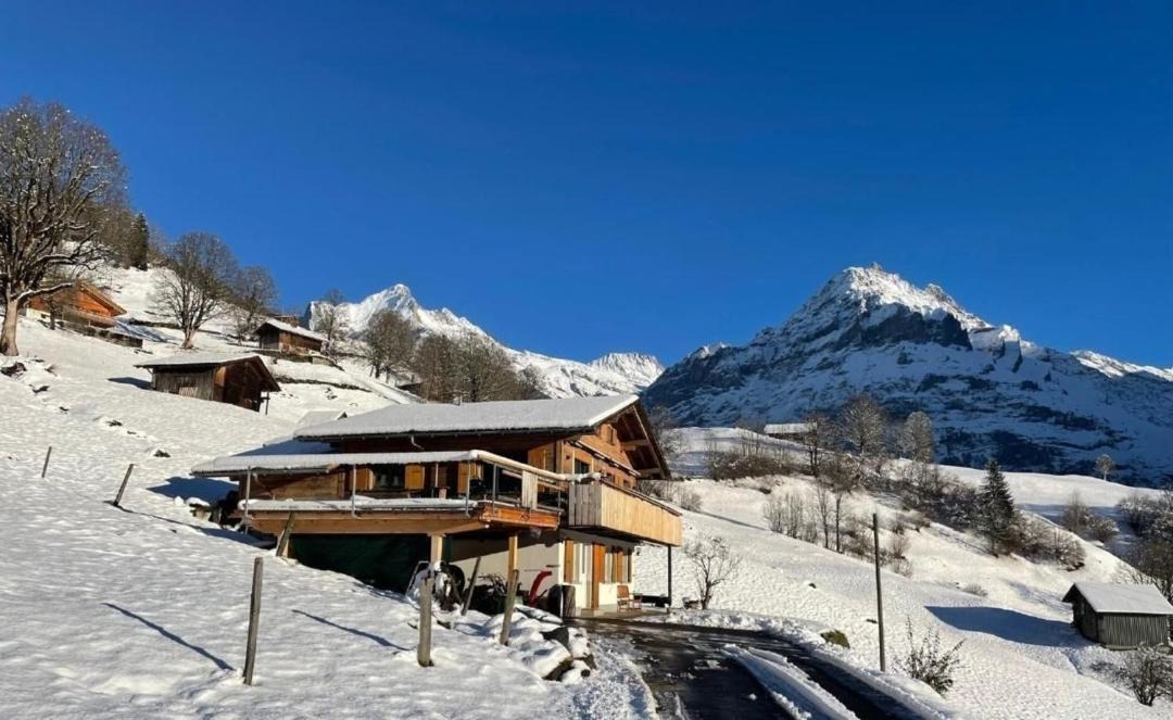 Photo of Others in Grindelwald
