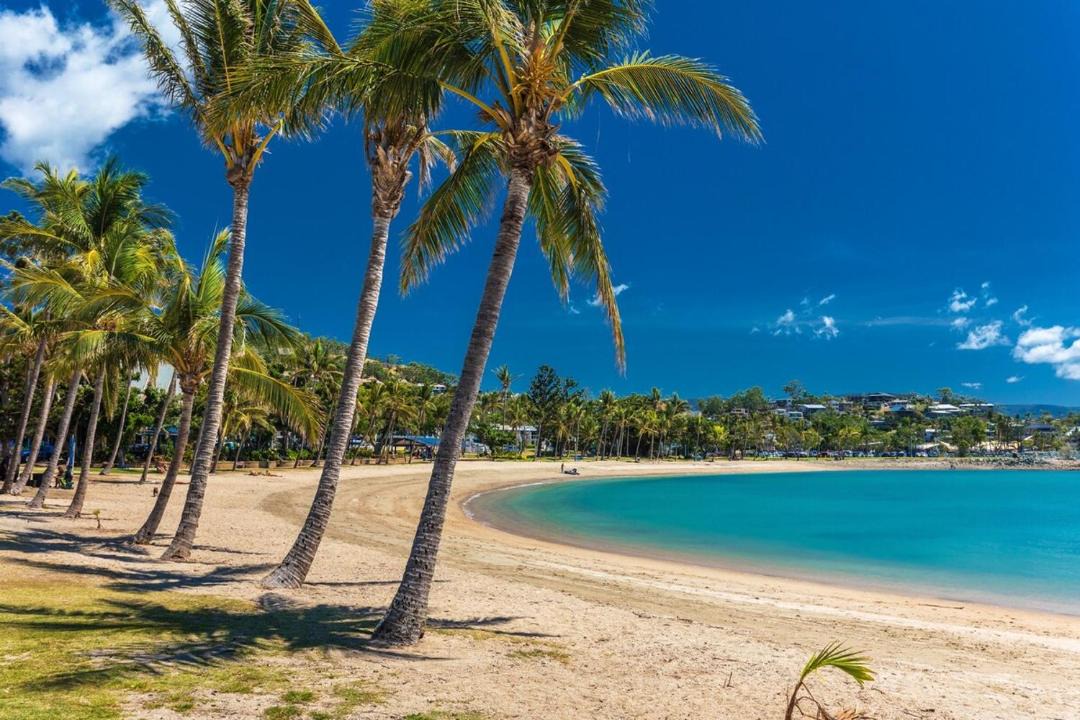 Photo of Others in Airlie Beach