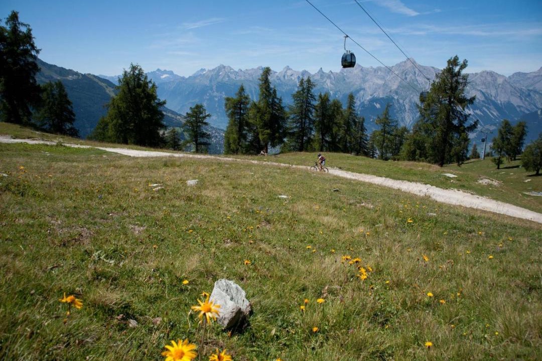 Photo of Others in Veysonnaz