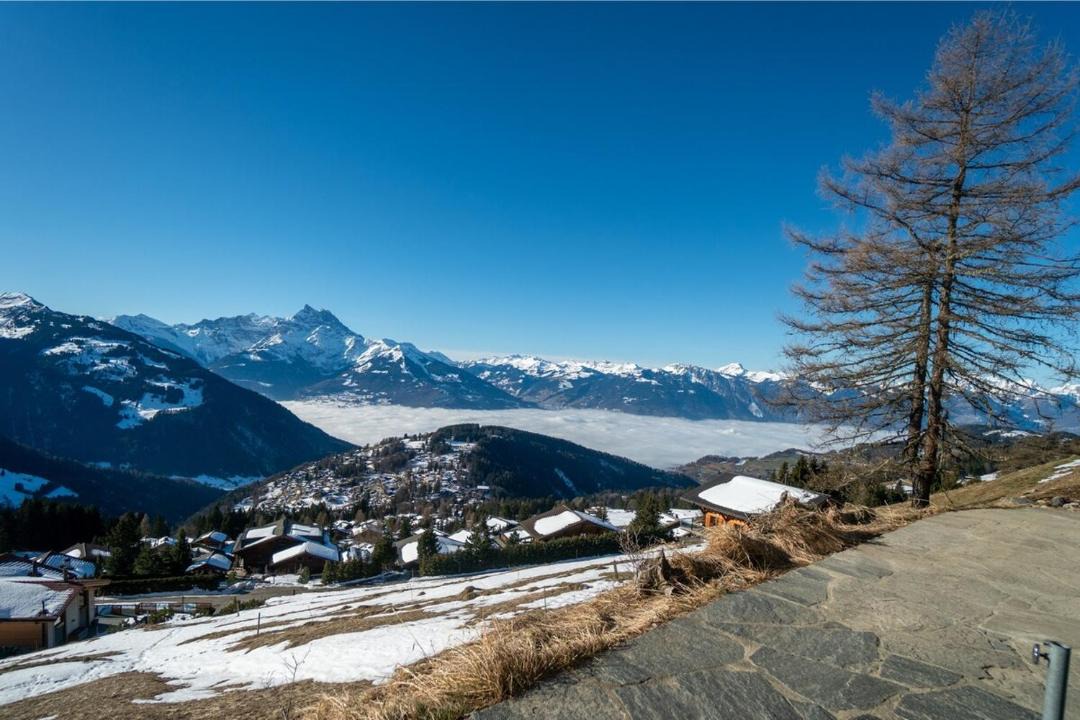 Photo of Others in Alpe des Chaux