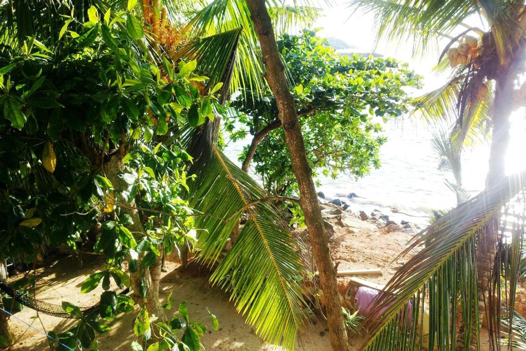 Photo of Others in Mirissa