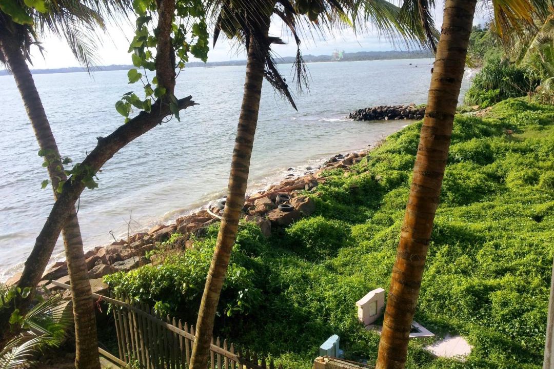 Photo of Outdoor in Mirissa