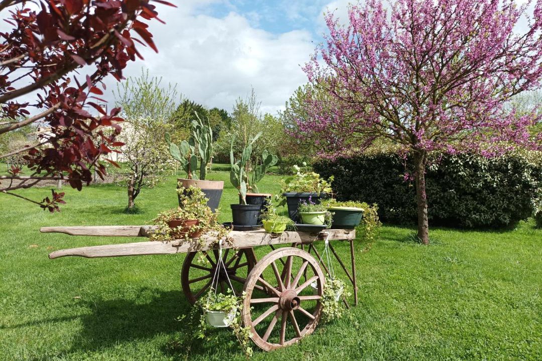 Photo of Others in Saint-Hilaire-la-Palud