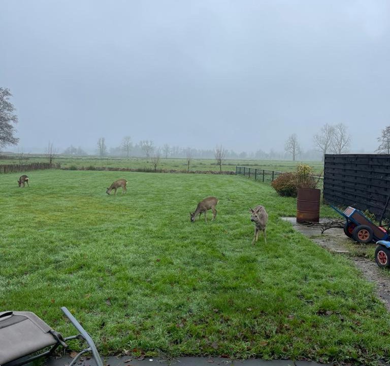 Photo of Others in Haren
