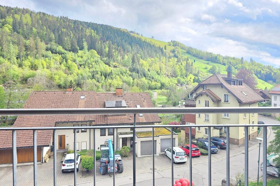 Photo of Others in Todtnau