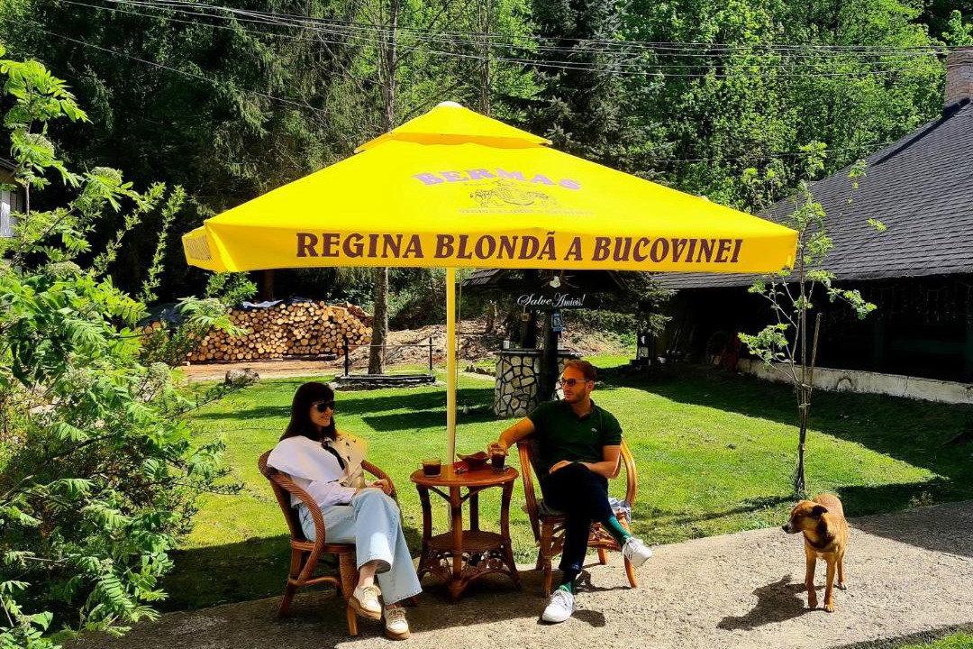 Photo of Others in Sucevita