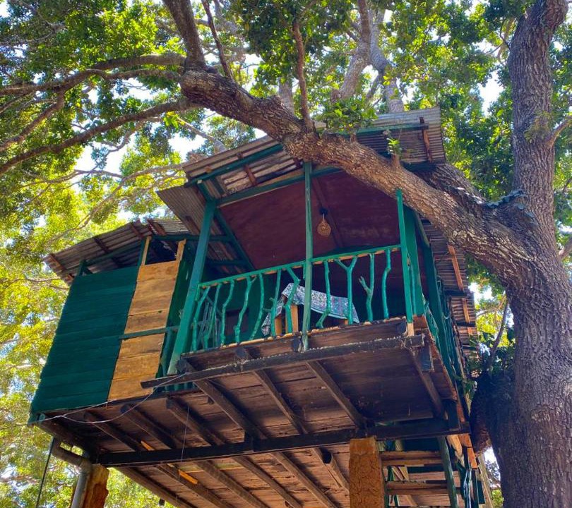 Photo of Others in Palatupana