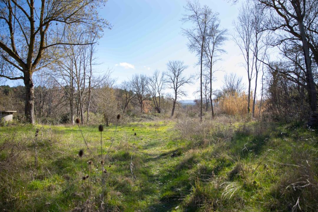 Photo of Others in Ladern-sur-Lauquet
