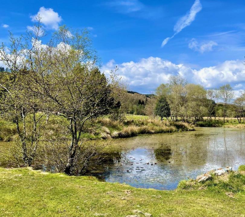 Photo of Others in Kilmun