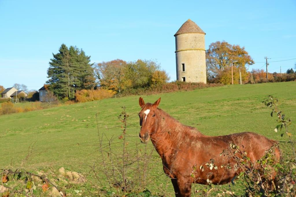 Photo of Others in Saint-Martin-du-Puy