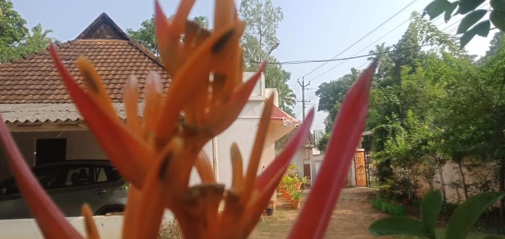 Photo of Others in Kuzhithurai
