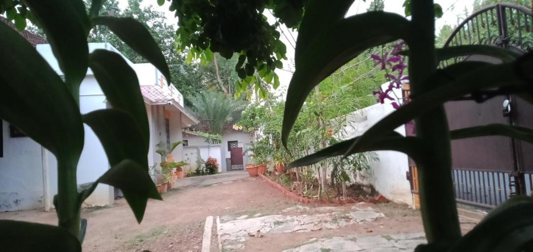 Photo of Others in Kuzhithurai