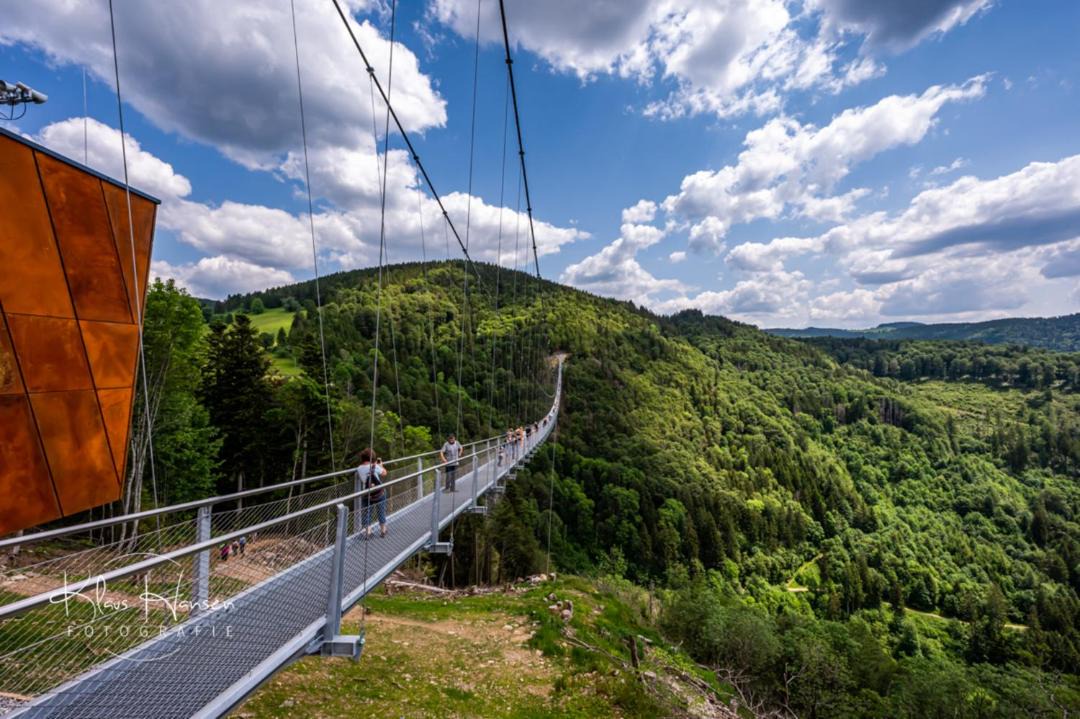 Photo of Others in Todtnauberg