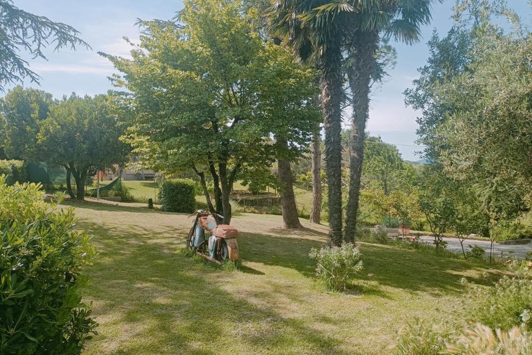 Photo of Others in Cupramontana