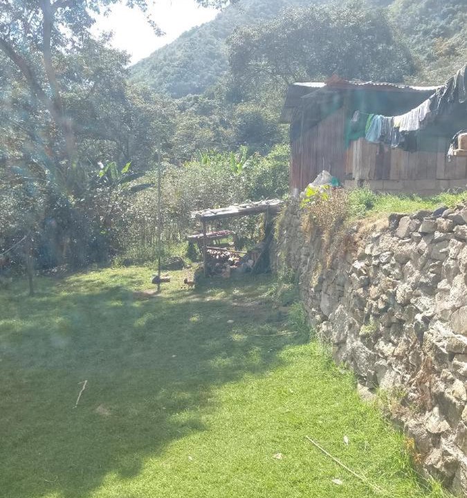 Photo of Others in Santa Teresa