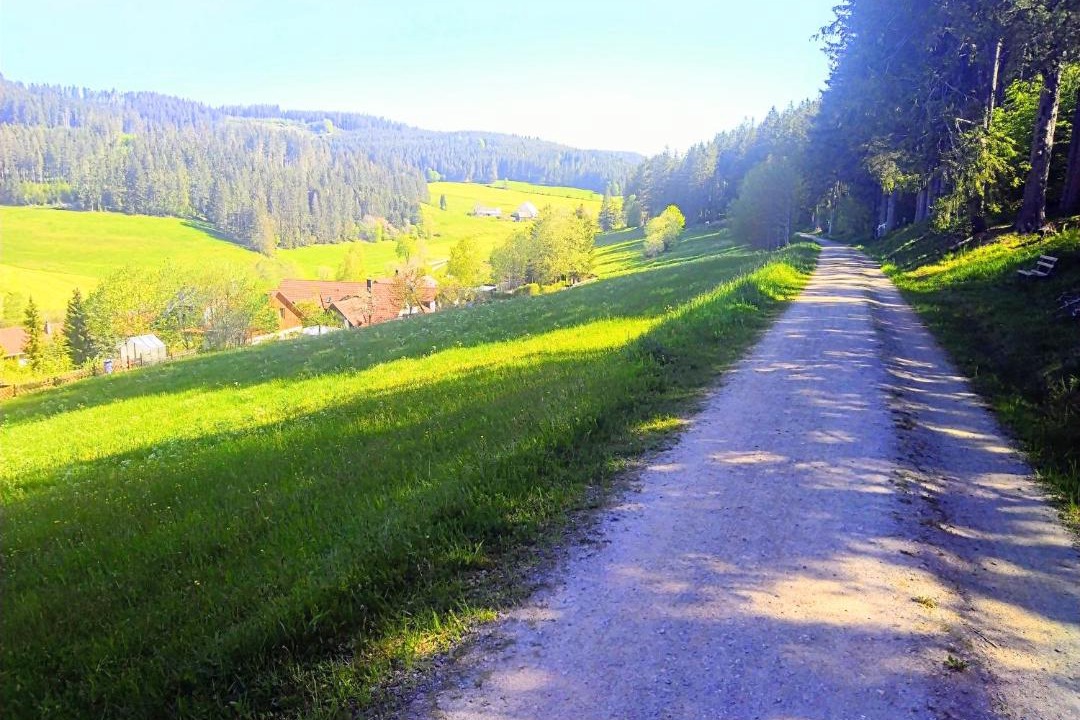Photo of Others in Neustadt