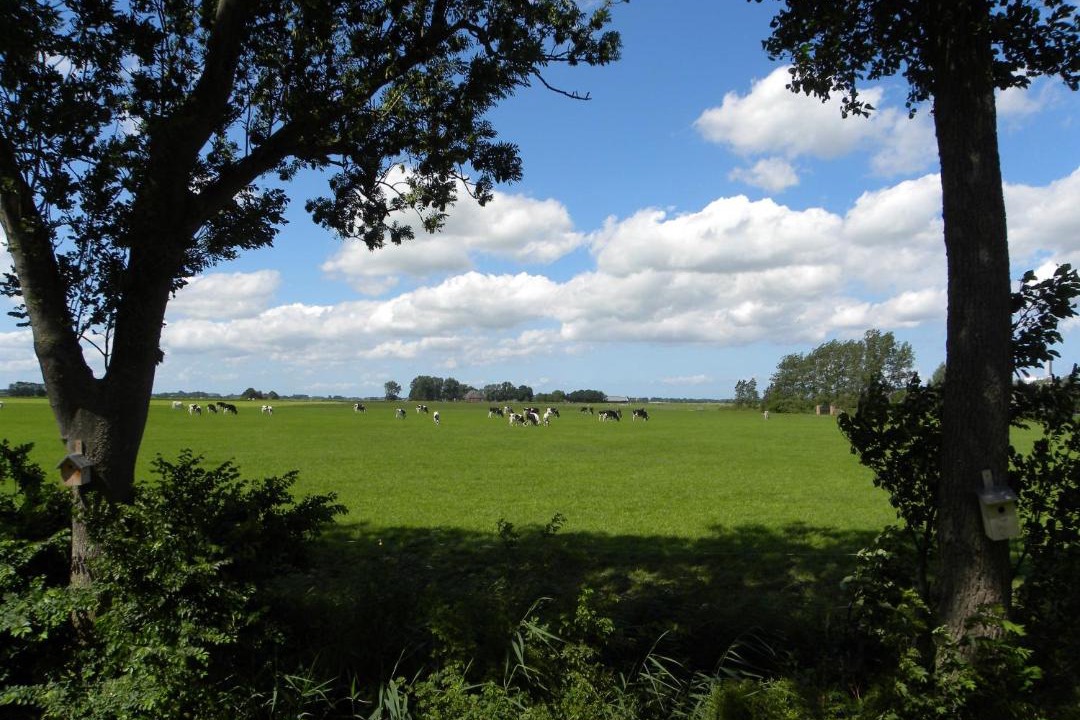 Photo of Outdoor in Onderdendam