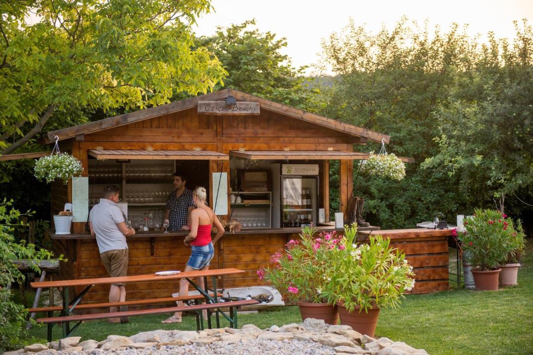 Photo of Others in Balatoncsicso