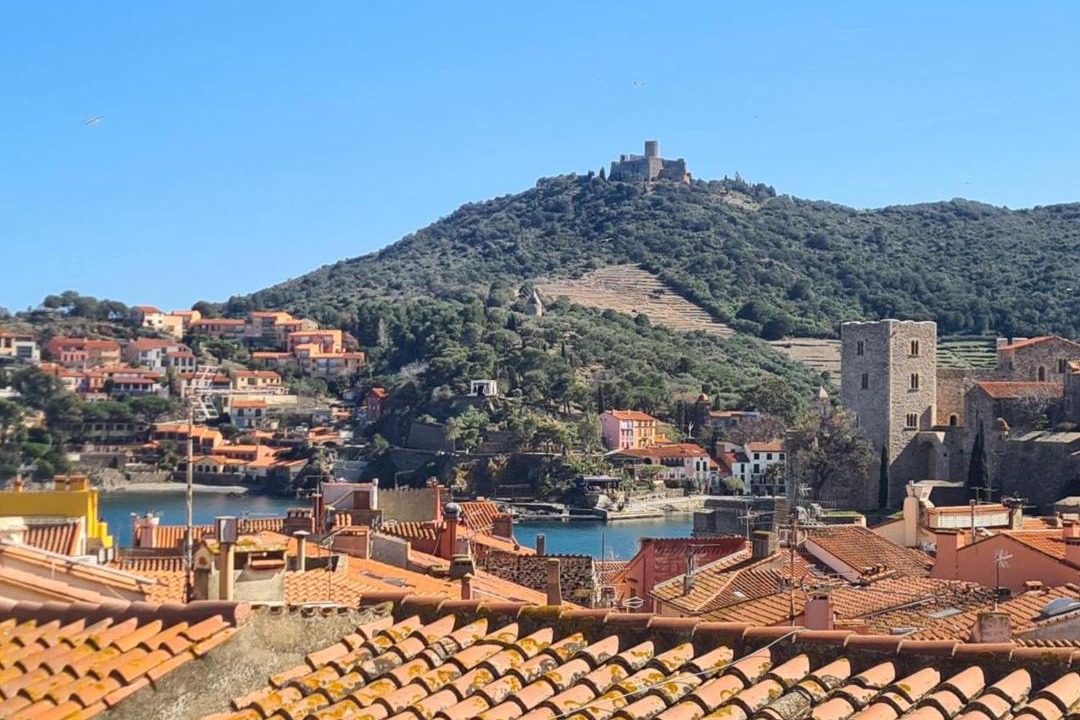 Photo of Others in Collioure