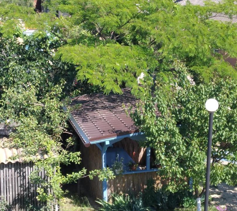 Photo of Others in Sarichioi