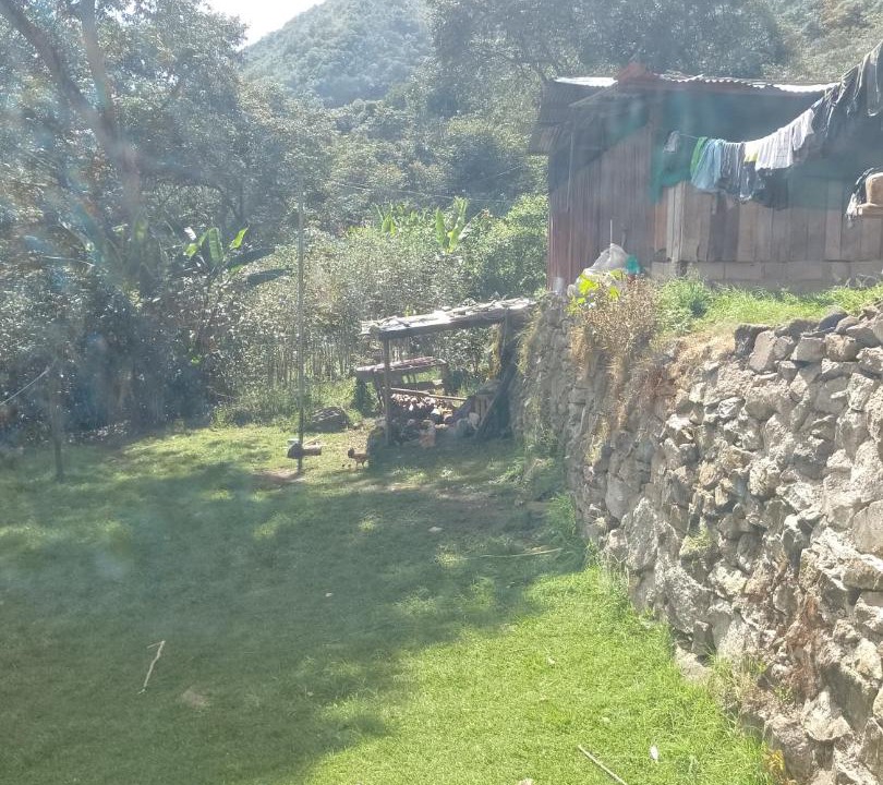 Photo of Others in Santa Teresa