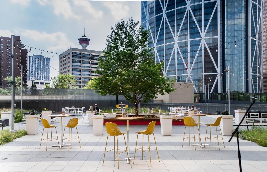 Photo of Others in Downtown Calgary