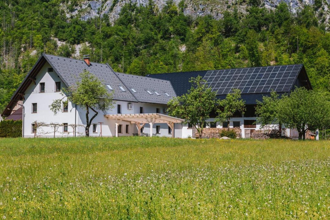 Photo of Others in Bohinj