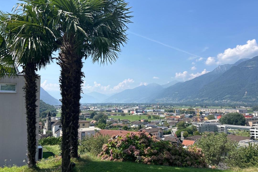 Photo of Others in SantʼAntonino