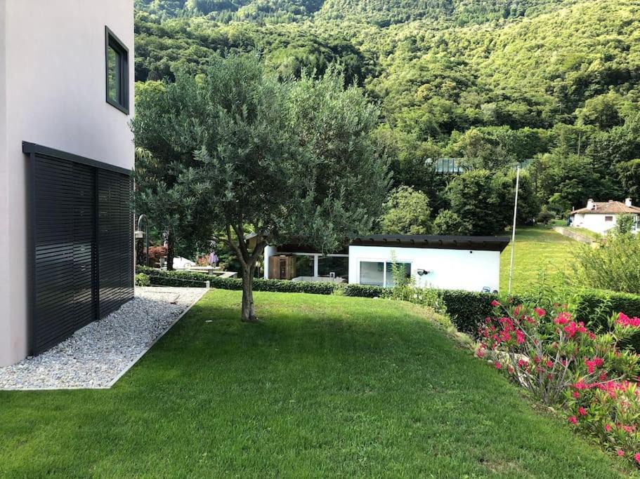 Photo of Others in SantʼAntonino