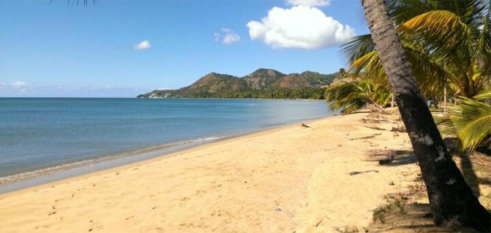Photo of Others in Playa