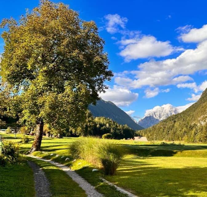 Photo of Others in Mojstrana