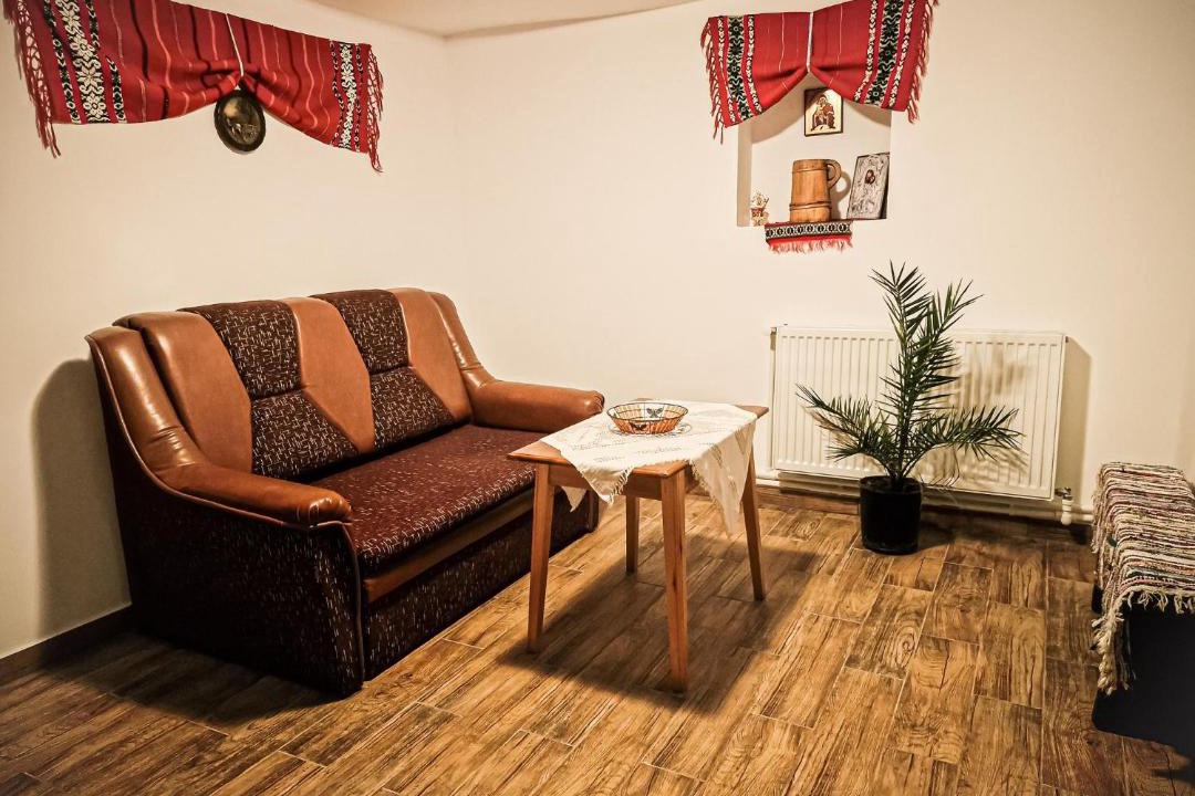 Photo of Livingroom in Paltin