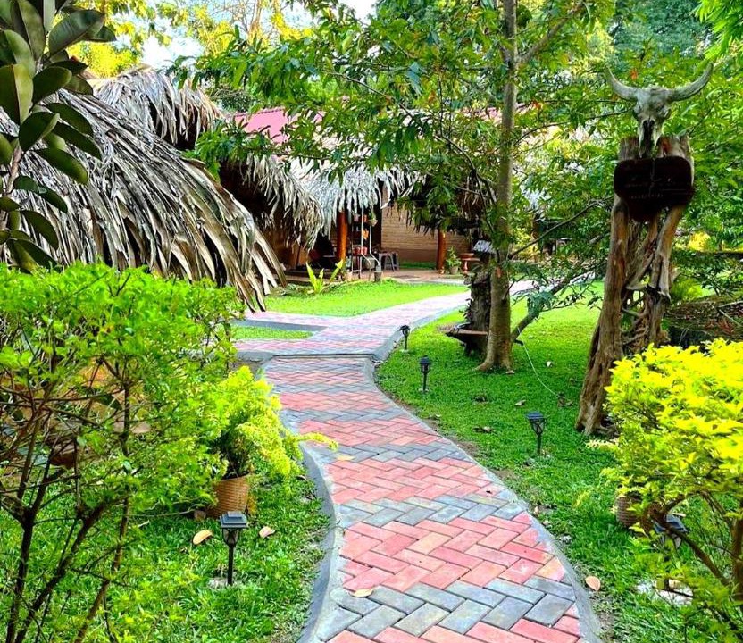 Photo of Outdoor in Udawalawa