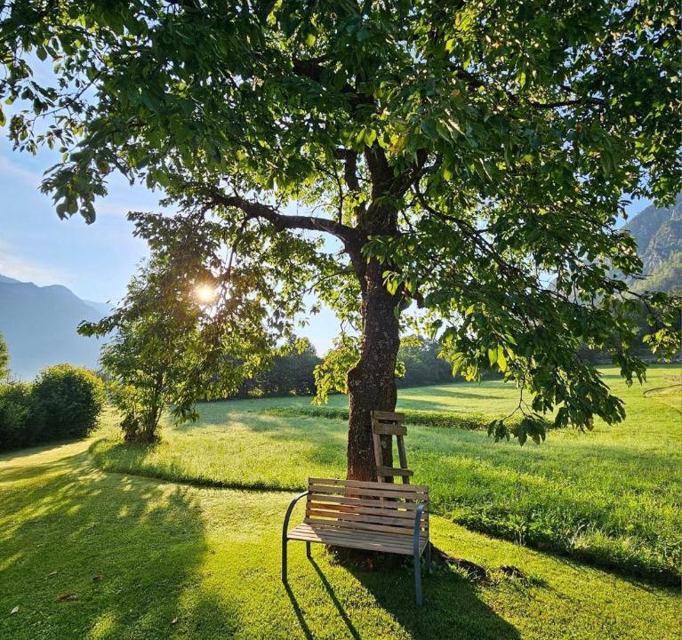 Photo of Outdoor in Mojstrana