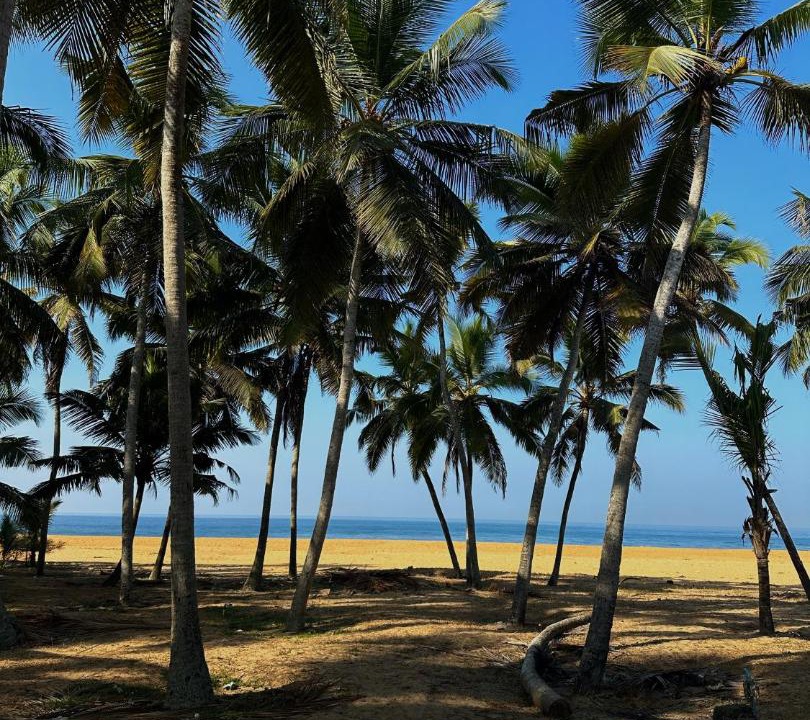 Photo of Outdoor in Thiruvananthapuram