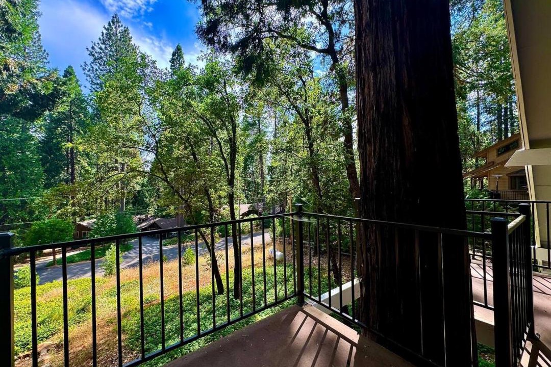 Photo of Others in Pollock Pines