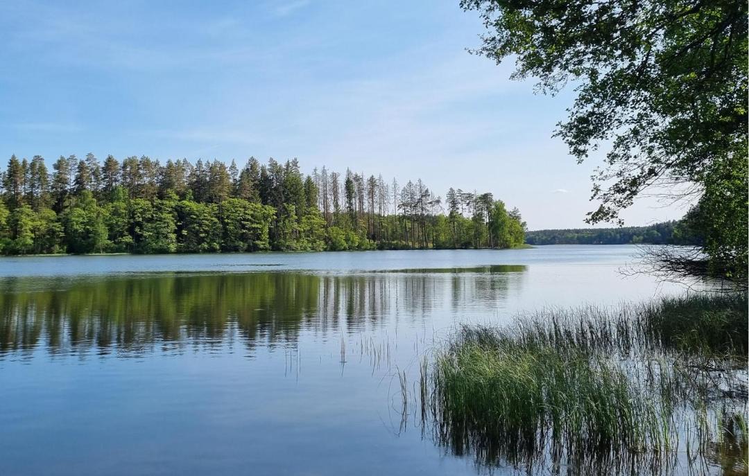 Photo of Outdoor in gmina Polanow