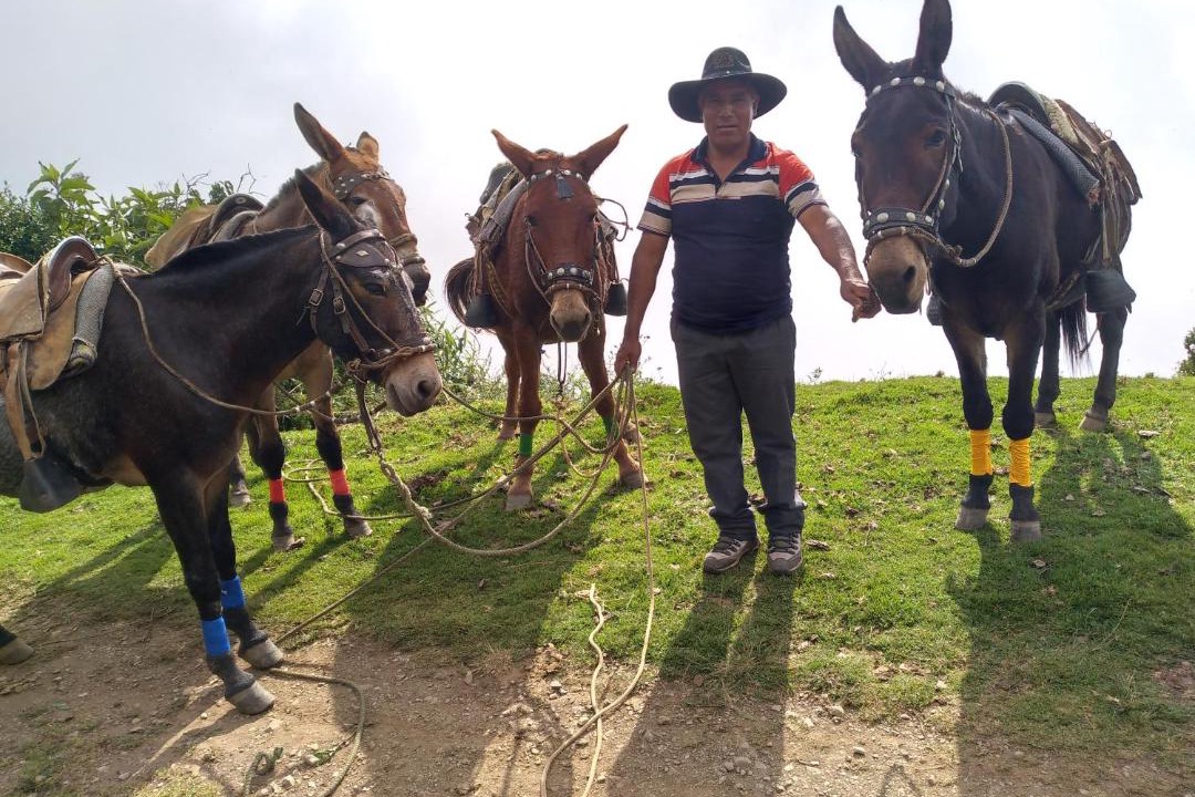 Photo of Others in San Pedro de Cachora