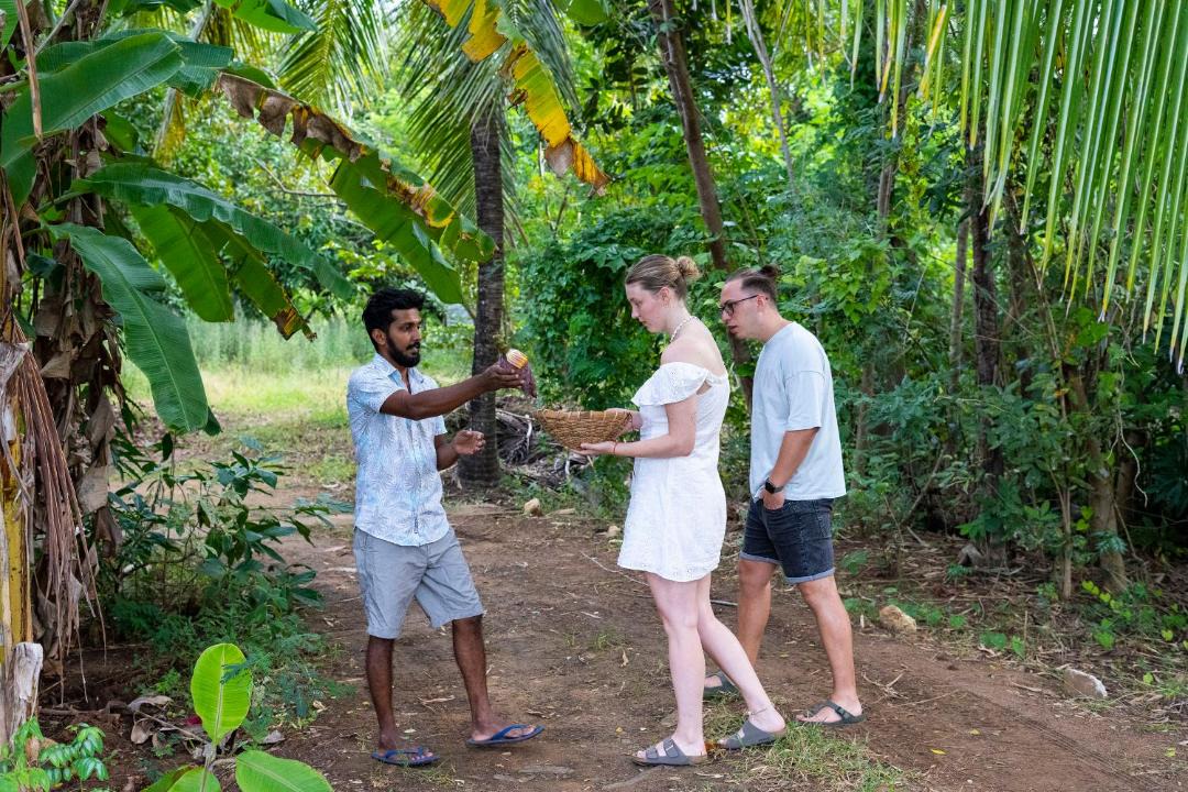 Photo of Others in Sevanagala