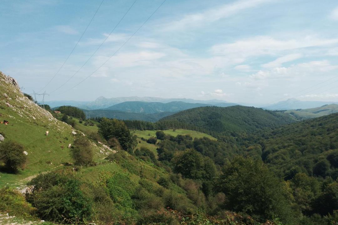 Photo of Others in Zegama