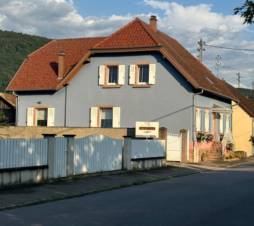 Photo of Others in Bergholtz