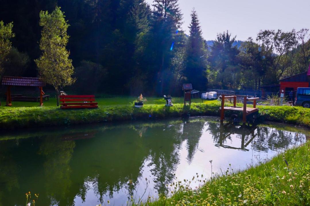 Photo of Others in Sindominic